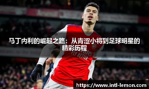 马丁内利的崛起之路：从青涩小将到足球明星的精彩历程