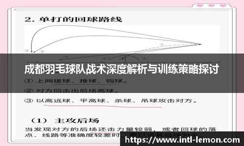 成都羽毛球队战术深度解析与训练策略探讨